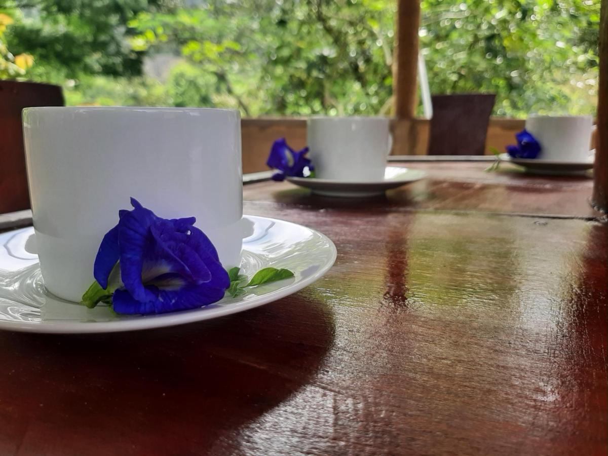 Kande Gedara Resort  Monaragala Exterior foto